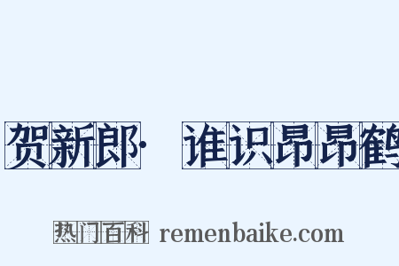 贺新郎·谁识昂昂鹤是什么意思的图片